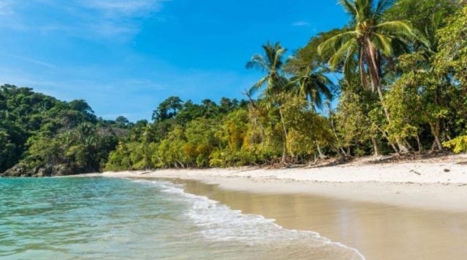 Cámaras turísticas de Puntarenas y Limón piden a visitantes recoger desechos