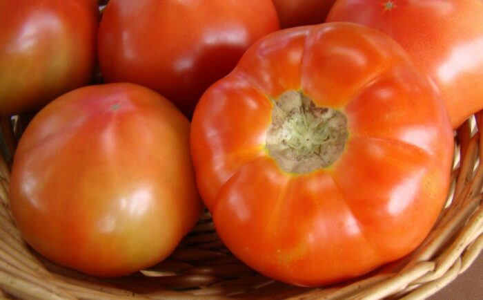 Precio de la cebolla y el tomate incrementó hasta 110% en el último año