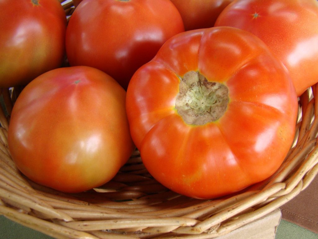 Costo del tomate se dispara: Es el producto que más aumentó de precio en un año
